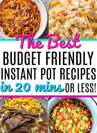 The Best Budget Friendly Instant Pot Recipes In 20 Minutes Or Less